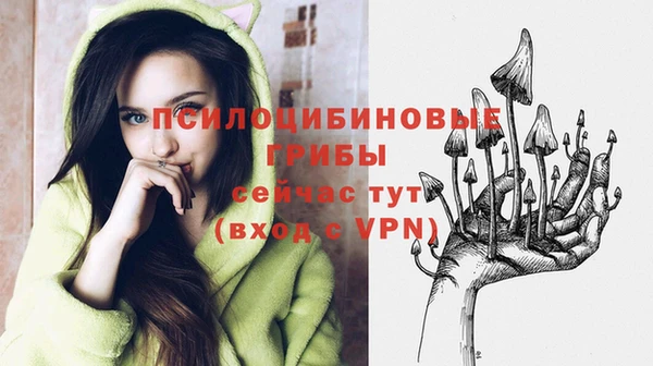 винт Краснослободск